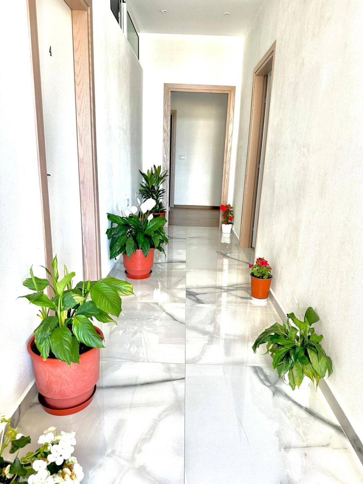 Apartaments Rraku ซารานเดอ ภายนอก รูปภาพ